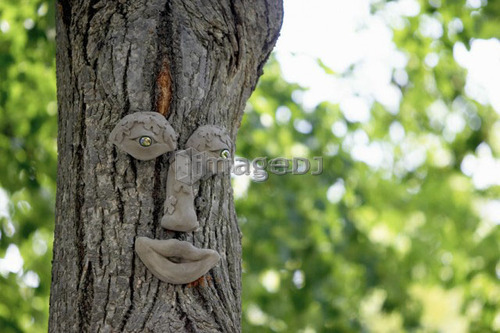 Tree trunk with eyes, nose, and mouth, Burlington, Ontario.