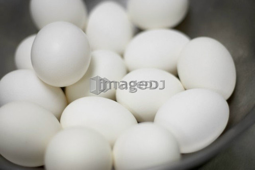Bowl of white chicken eggs