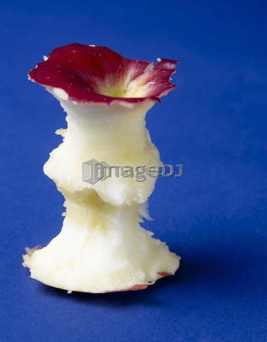 Empire apple core on blue background