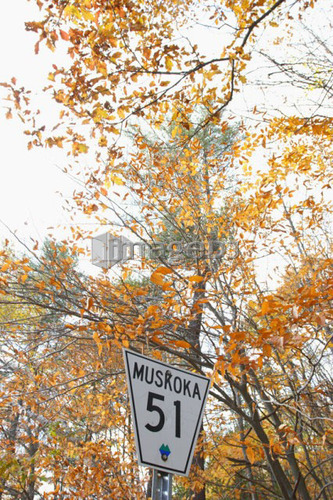 Road Sign, Baysville, Ontario.