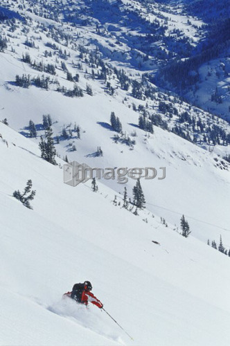 Young man skiing untracked slope in the backcountry near Alta, Utah, USA