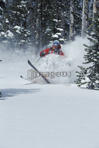 Young man skiing fresh powder in the trees at Fernie Alpine Resort, Fernie, British Columbia, Canada