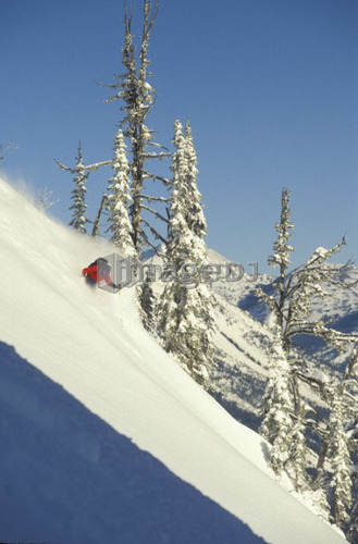 Young man skiing fresh powder on steep slope at Fernie Alpine Resort, Fernie, British Columbia, Canada