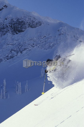 Young man skiing fresh powder on steep slope at Fernie Alpine Resort, Fernie, British Columbia, Canada