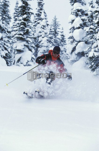 Young man skiing fresh powder at White Grizzly Adventures Catskiing, Meadow Creek, British Columbia, Canada.