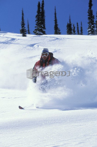 Young man skiing fresh powder at Fernie Alpine Resort, Fernie, British Columbia, Canada.