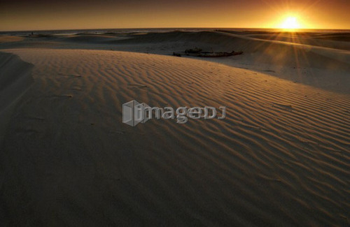 Sand Dunes at sunset, Oregon Dunes National Recreation Area