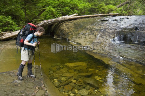 Woman (20-25) looking into a pool in a sandstone creek in an old-growth coastal forest, West Coast Trail, Pacific Rim National P