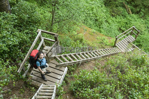 Woman (20-25) climbing wooden ladders along a trail in an old-growth coastal forest, West Coast Trail, Pacific Rim National Park