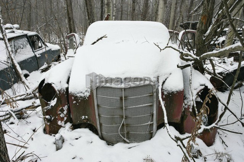 View of automobile in junkyard. Montérégie region, Quebec