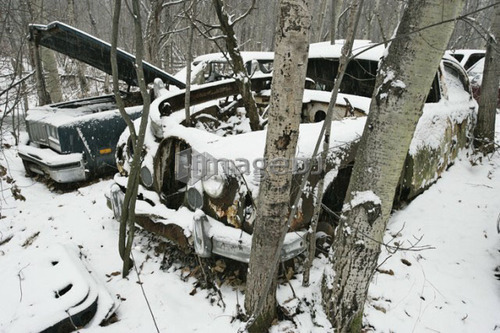 View of automobile in junkyard. Montérégie region, Quebec