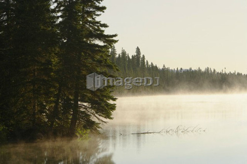 Mist at Étang-à-la-Truite (Trout pond), Gaspesie, Quebec