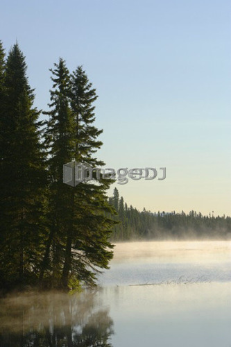 Mist at Étang-à-la-Truite (Trout pond), Gaspesie, Quebec