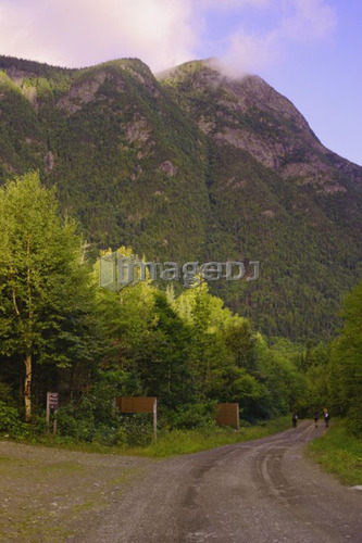 View of path, hikers and Mont Nicol-Albert, Gaspesie, Quebec
