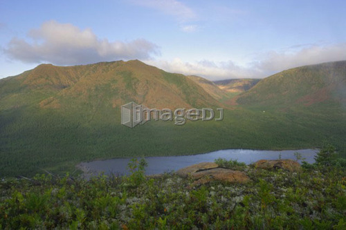 View of Mount Albert from Mount Olivine, Gaspesie, Quebec
