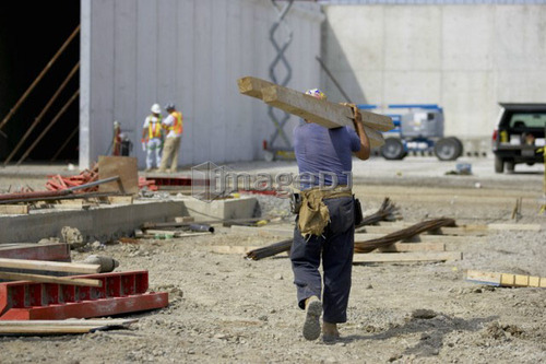 Construction worker carrying wood beams across a construction site; Canada, Ontario, Hamilton