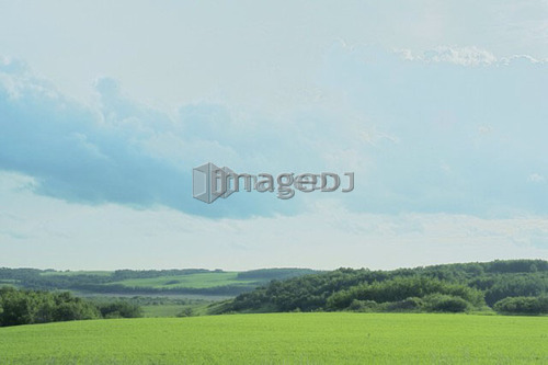 Farmland; Canada, Manitoba, Minnedosa