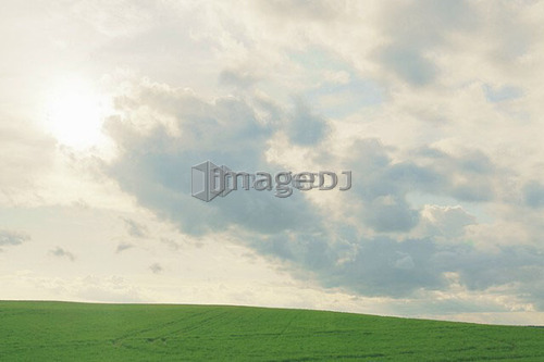 Spring crop; Canada, Manitoba, Minnedosa