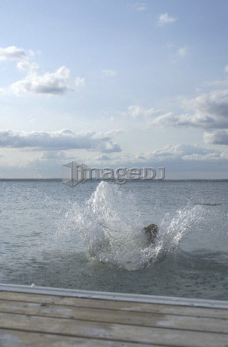 Dog going of dock after stick, Clear Lake; Canada, Manitoba, Riding Mountain National Park