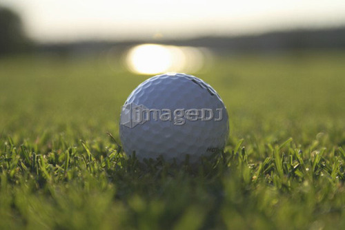 Golf ball on organic golf course; Canada, Manitoba, Riding Mountain National Park