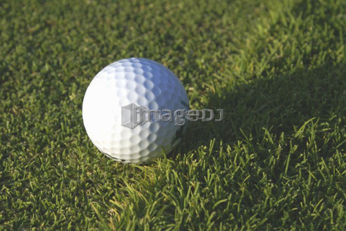 Golf ball on organic golf course; Canada, Manitoba, Riding Mountain National Park