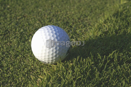 Golf ball on organic golf course; Canada, Manitoba, Riding Mountain National Park