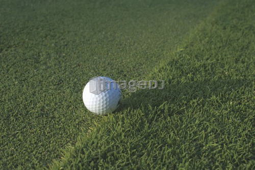 Golf ball on organic golf course; Canada, Manitoba, Riding Mountain National Park