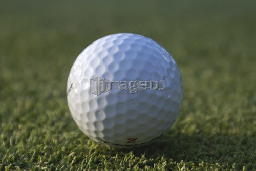 Golf ball on organic golf course; Canada, Manitoba, Riding Mountain National Park