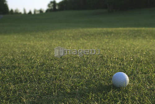 Golf ball on organic golf course; Canada, Manitoba, Riding Mountain National Park