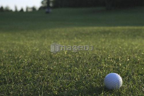 Golf ball on organic golf course; Canada, Manitoba, Riding Mountain National Park