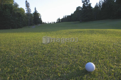 Golf ball on organic golf course; Canada, Manitoba, Riding Mountain National Park