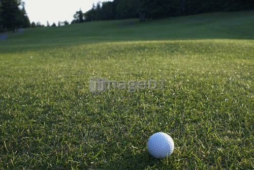 Golf ball on organic golf course; Canada, Manitoba, Riding Mountain National Park