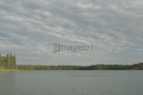 45 year old woman swimming in Katherine Lake, No motor boats allowed.; Canada, Manitoba, Riding Mountain National Park