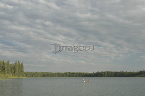 45 year old woman swimming in Katherine Lake. No motor boats allowed.; Canada, Manitoba, Riding Mountain National Park