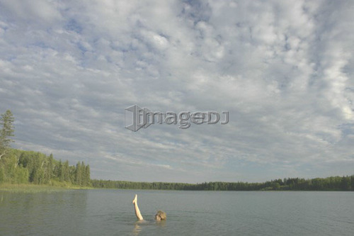 45 year old woman swimming in Katherine Lake. No motor boats allowed.; Canada, Manitoba, Riding Mountain National Park
