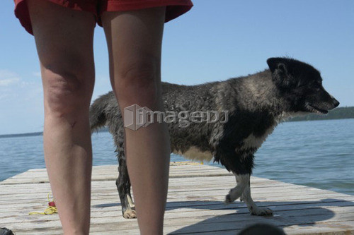 Woman and her dog on dock, Clear L.; Canada, Manitoba, Riding Mountain National Park