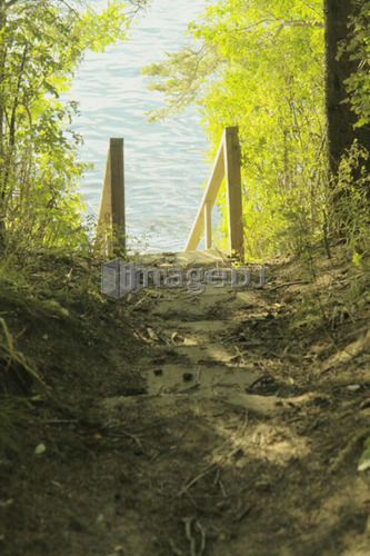 Steps down to Clear Lake; Canada, Manitoba, Riding Mountain National Park