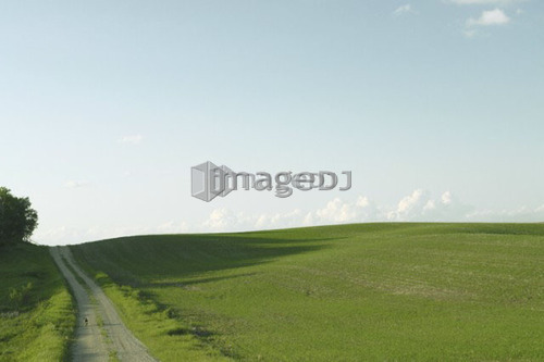 Country laneway in green field; Canada, Manitoba, Erickson