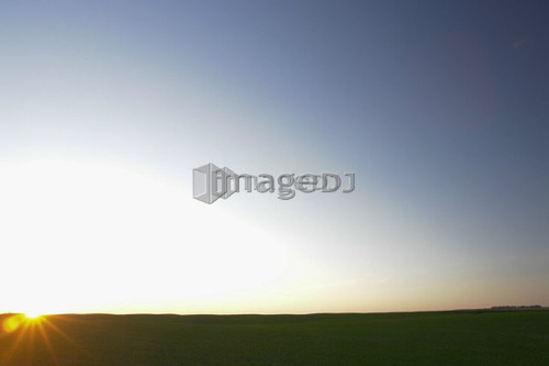 Dawn breaks over lush green field; Canada, Manitoba, Erickson