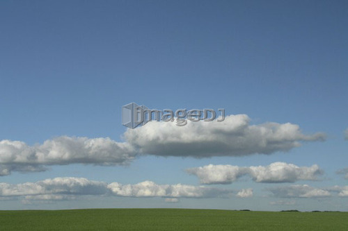 Fluffy clouds over green crops; Canada, Manitoba, Erickson