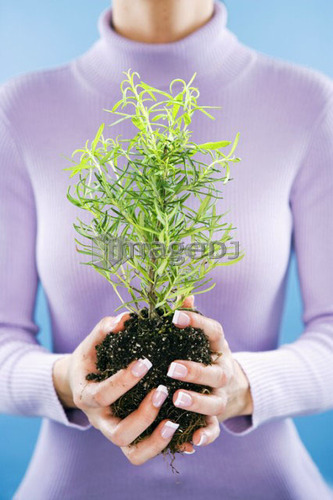 Woman holding plant; Canada, Alberta