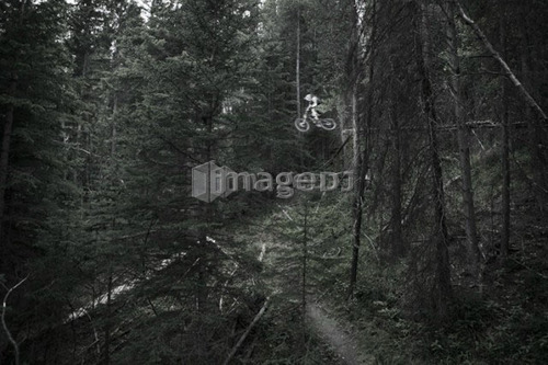 Biker in mid-jump in forest; Canada, Alberta, Bragg Creek