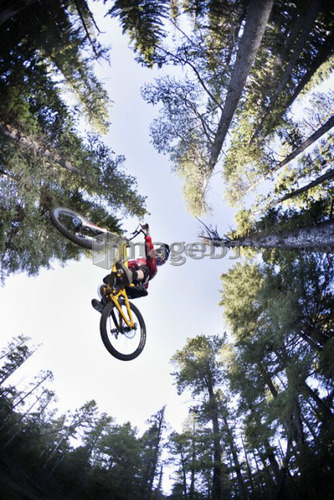 Under a biker mid-jump; Canada, Alberta, Quirk Creek