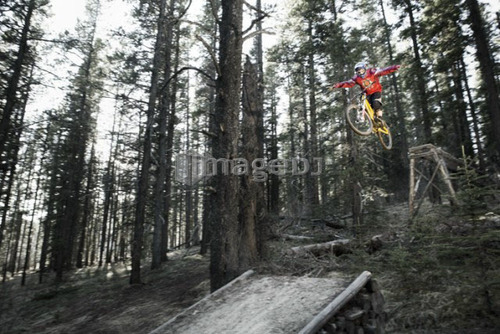 Biker with outstretched arms mid-jump in forest; Canada, Alberta, Quirk Creek