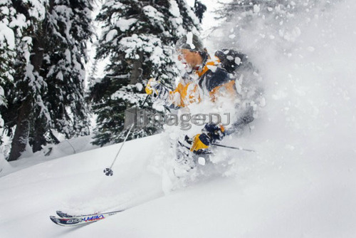 Profile of skier in deep powder; Canada, British Columbia, Icefall Lodge