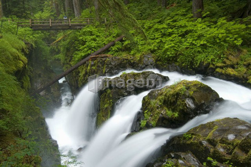 Waterfall plunges into a canyon in an Old-Growth Rainforest; USA, Washington, Olympic National Park, Sol Duc River