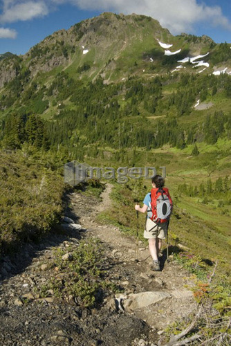 Woman (20-25) hiking along an alpine trail; USA, Washington, Olympic National Park,