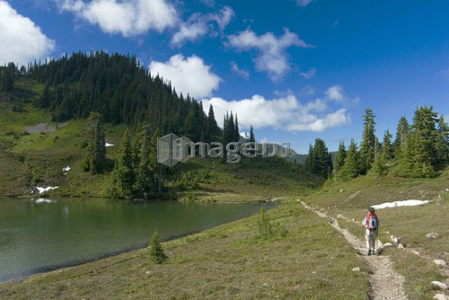 Woman (20-25) hiking along an alpine trail by a lake; USA, Washington, Olympic National Park,