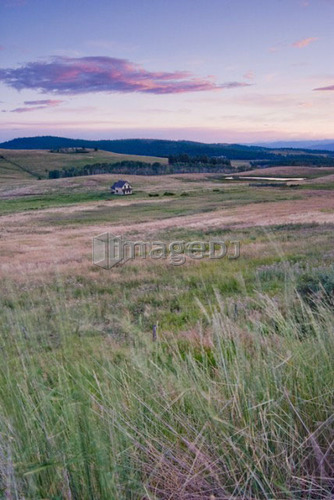 Rural farmland and an abandoned farmhouse; Canada, British Columbia, Bridesville, Boundary Country