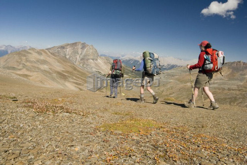 Three hikers in the alpine on a ridge; Canada, Alberta, Jasper National Park, Skyline Trail